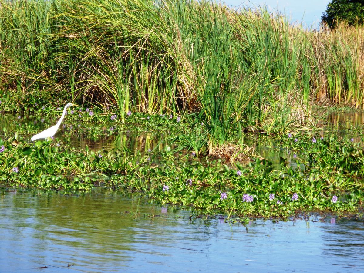 Marbella Eco Lodge Monterrico Ngoại thất bức ảnh