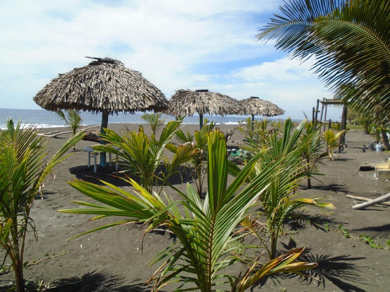 Marbella Eco Lodge Monterrico Ngoại thất bức ảnh
